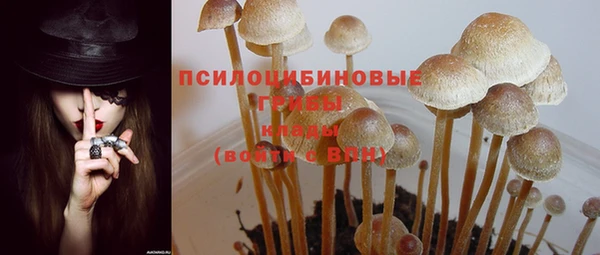 спиды Зеленодольск