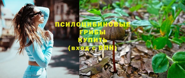 спиды Зеленодольск