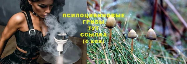 спиды Зеленодольск