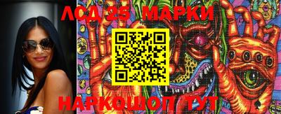 шишки Кинель