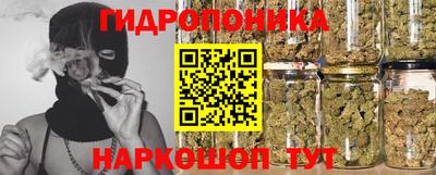 шишки Кинель