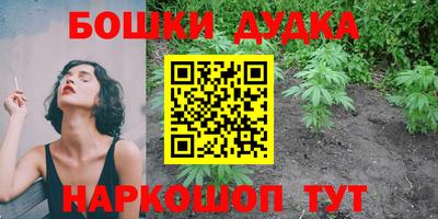 шишки Кинель