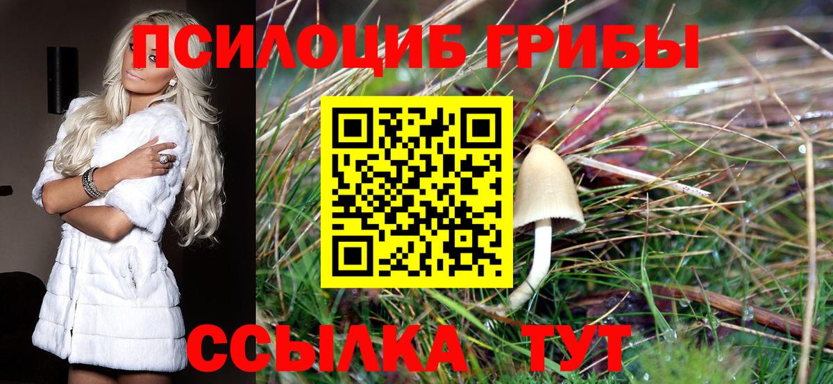 Камышлов  Галлюциногенные грибы прущие грибы  Вход с VPN 