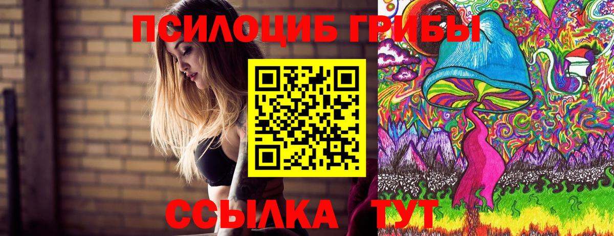 Псилоцибиновые грибы ЛСД Камышлов